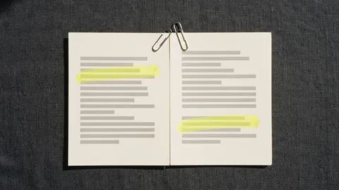 Two printed pages joined at the top by two linked paper clips, each page with one yellow line